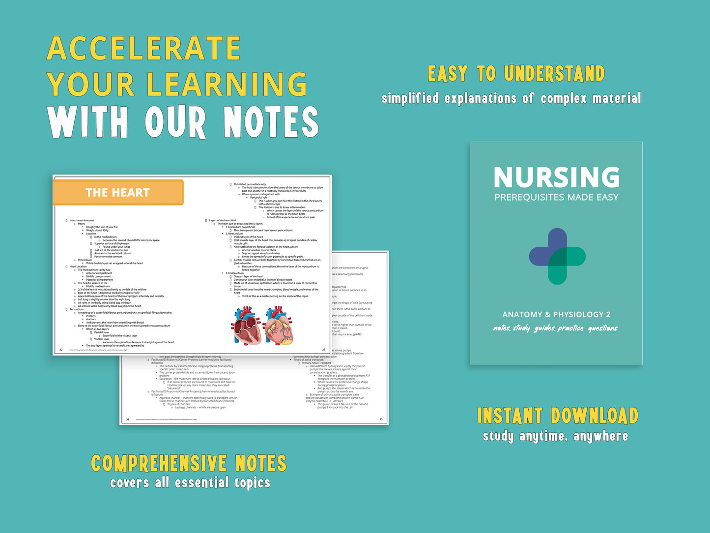 Example notes from the Anatomy and Physiology 2 Study Guide book displayed next to the actual book. A&P Study aids featuring detailed anatomy notes, diagrams, and anatomy and physiology practice questions for nursing school prerequisites.