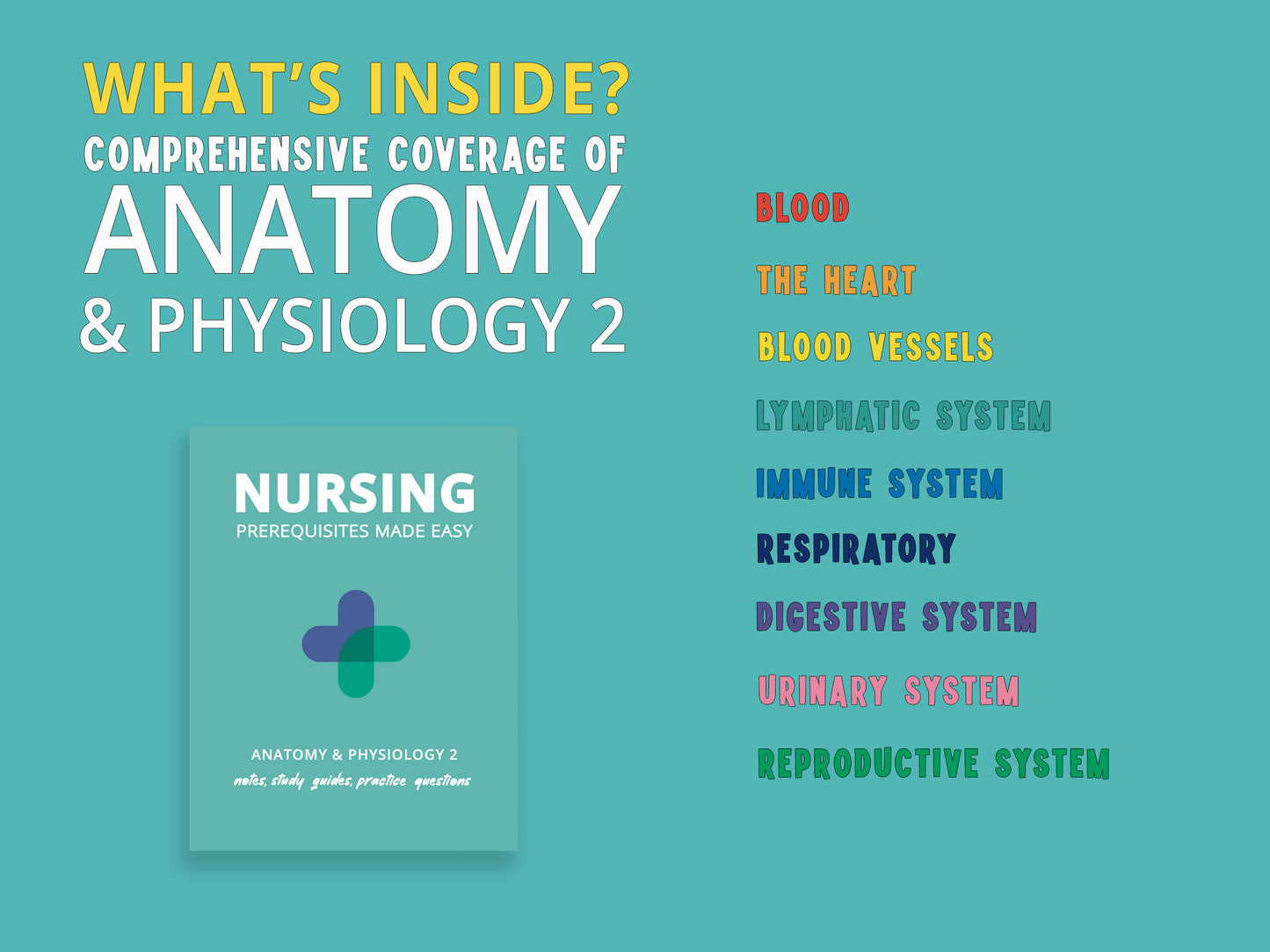 Anatomy and Physiology 2 Study Guide book with a detailed list of chapters included. Comprehensive anatomy and physiology study aids featuring anatomy notes, diagrams, and a&p practice questions for nursing school prerequisites.