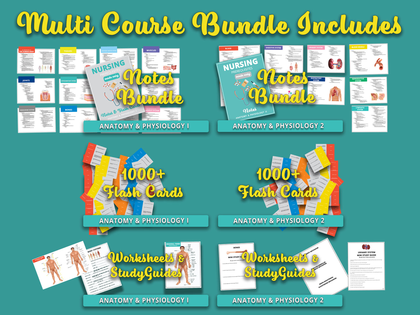Anatomy and Physiology Multi-Course Bundle | AP 1 and AP 2 | Anatomy Notes | Anatomy Study Guide | Flash Cards Bundle | Digital Download