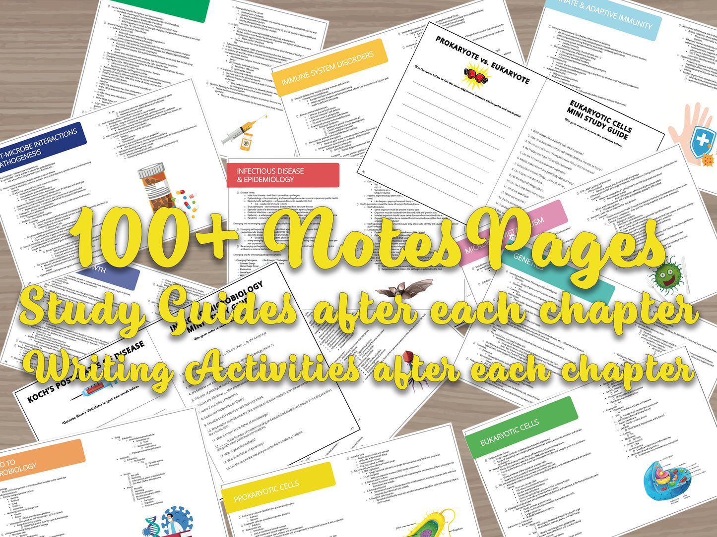 Microbiology Course Bundle | Microbiology Notes | Study Guides | Printed & Shipped