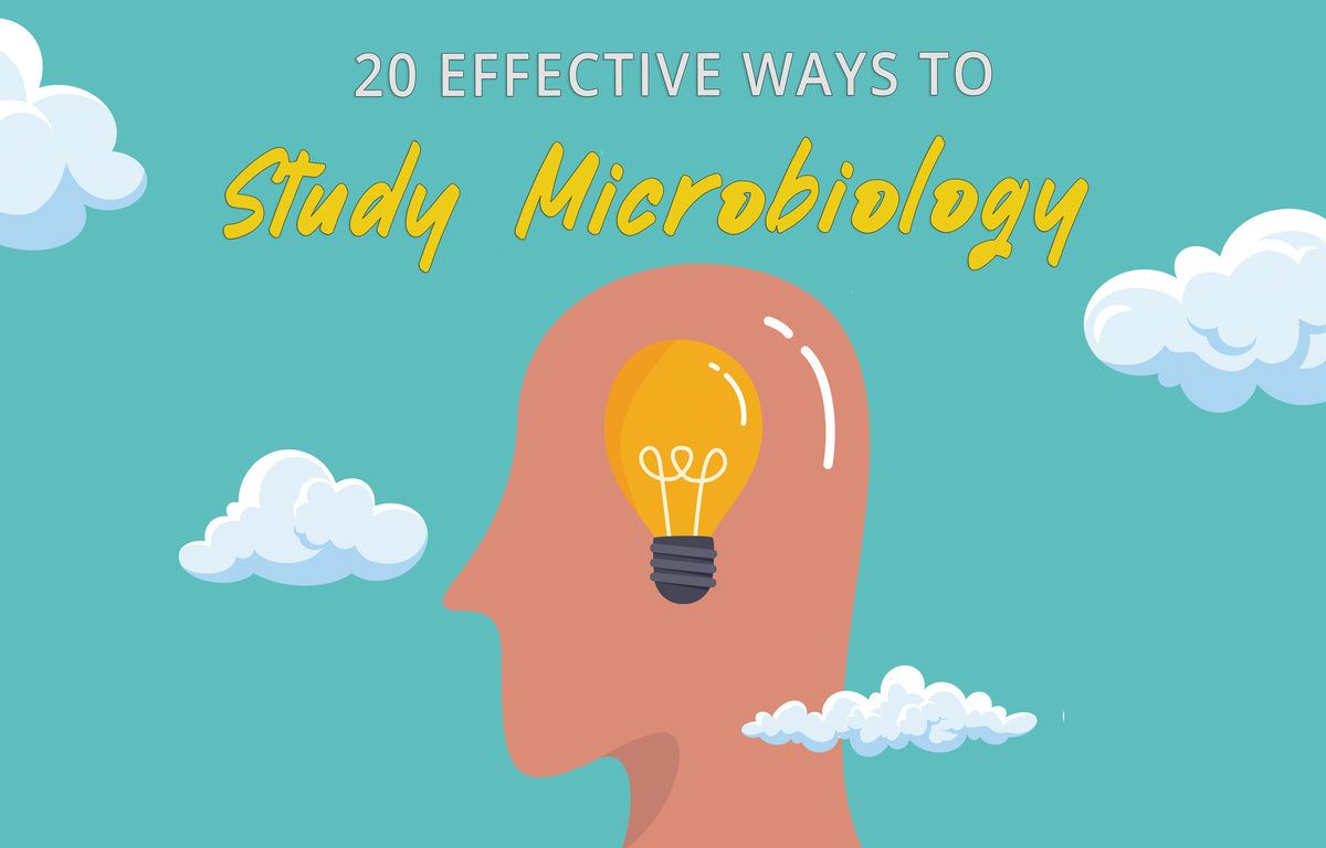 20 Effective Ways to Study Microbiology – Nursing Prerequisites Made Easy